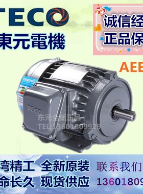 东元电机0.18KW卧式三相感应电动机AEEF 1/4HP 2P 4 P6P 8P 正品