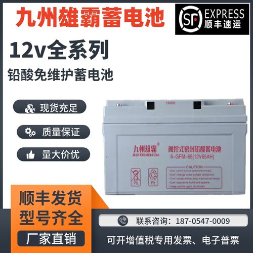 九州雄霸蓄电池6GFM65不间断电源12V100AH40A38A32A24A17AH直流屏