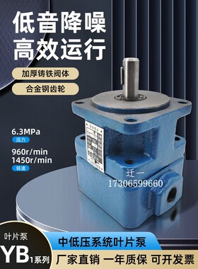 YB1-10叶片泵 YB1-2.5/12/16/20/32/40/50/63/80/100/125液压油泵