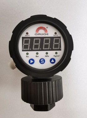 SS-CM19 SS-CM21台湾华记SAFE-GAUGE数显PP隔膜电子式压力表1/2PT