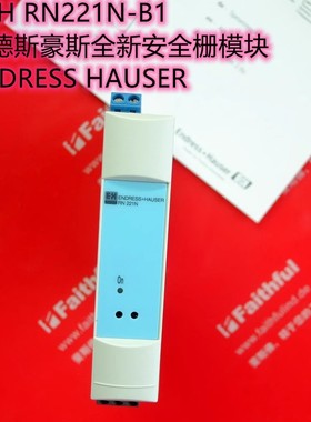 E+H 全新安全栅模块 RN221N-B1 恩德斯豪斯ENDRESS HAUSER