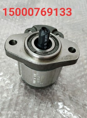 1AG1P13R 1GG1P13R 1GG1B13R 高压齿轮泵