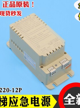 德凌电梯应急照明电源RKP220/12P适用于蒂森TK-EP220/12P-10-Li