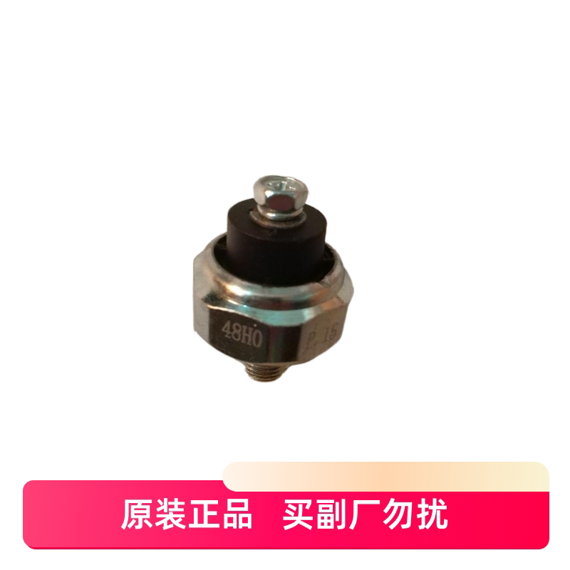摩托车GW250铃木油压开关