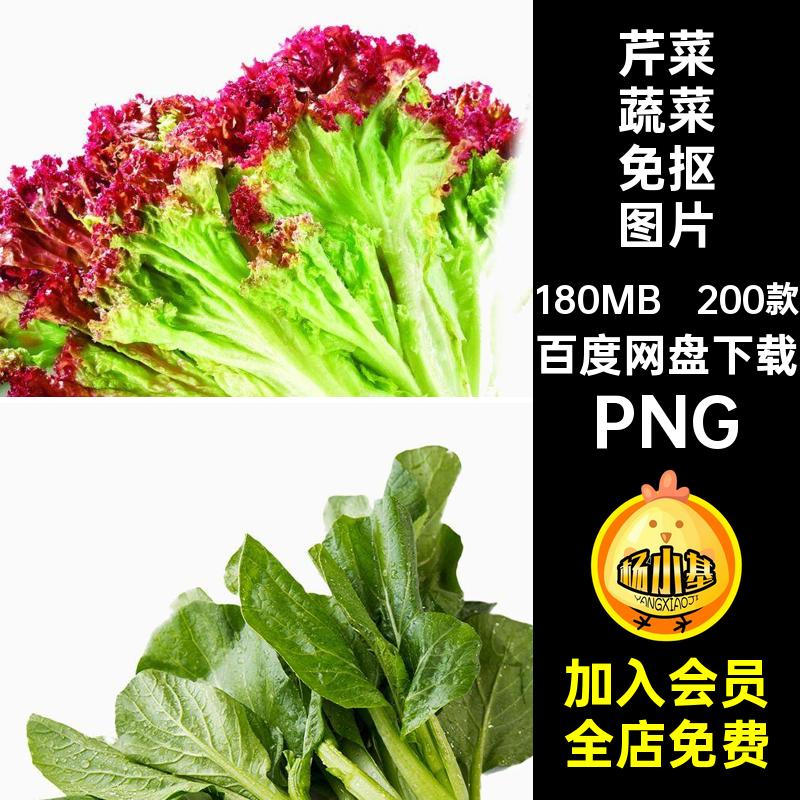 辣椒蔬菜免抠图片胡萝卜洋青菜图片素材白菜PNG西红马铃红柿洋葱