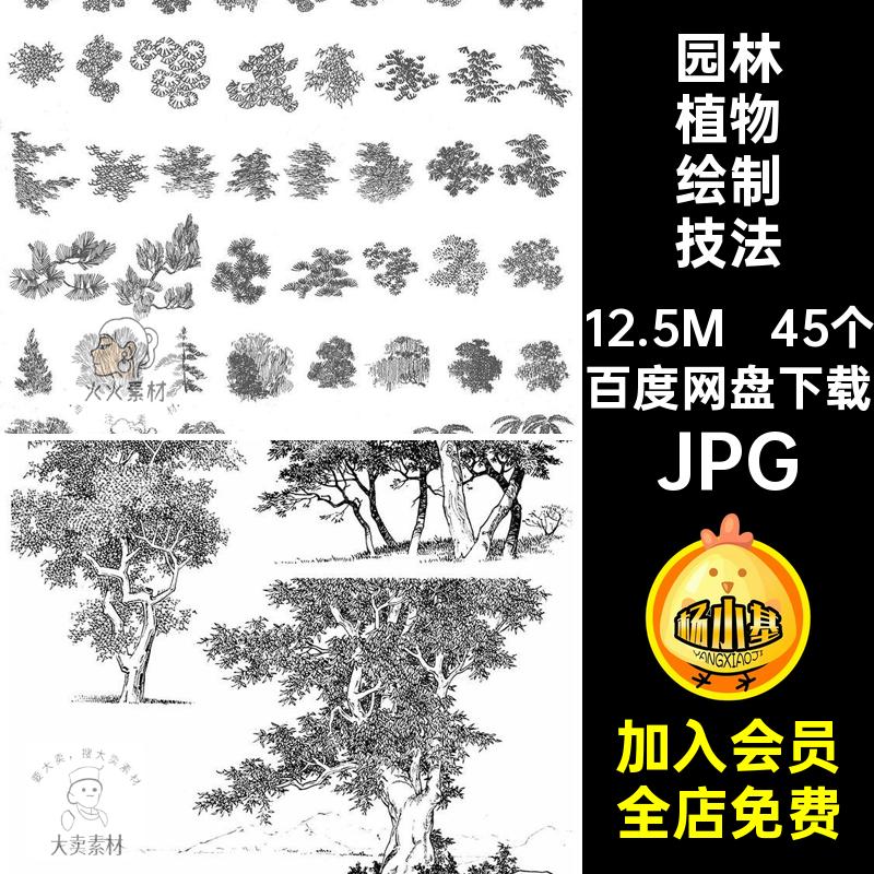 园林植物绘制技法画法花草树木法线绘画稿风景素材JPG45个场景
