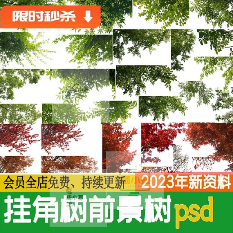 园林景观建筑效果图后期前景树挂角树ps素材树枝乔木植物psd免抠