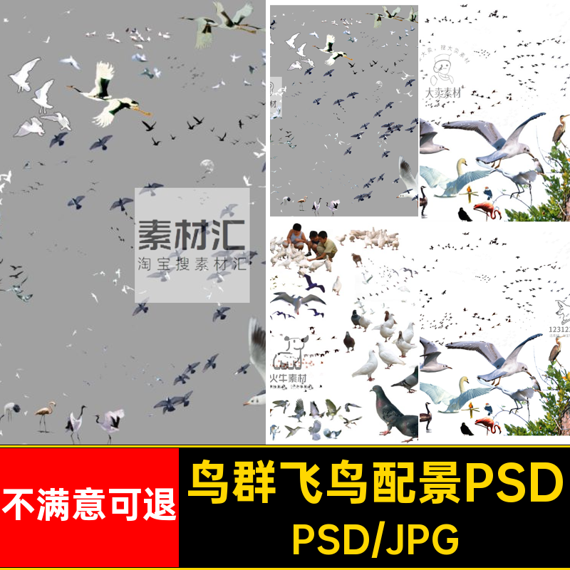 鸟类飞鸟线稿黑白剪影鸟群效果图后期鸟瞰图配景PSD免扣PS素材