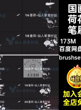 古典荷花笔刷传统45款水墨荷花笔刷莲花ps花卉植物国风procreate