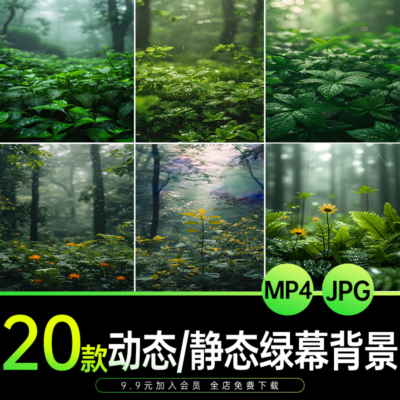 直播间动态视频背景绿植树林植物叶子图片mp4竖屏设计jpg绿幕素材