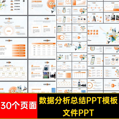 年中工作总结PPT文件PPT工作计划款模板品1竞数据分析市场报告