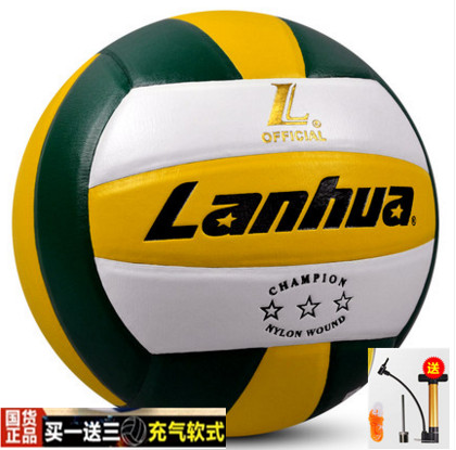 Ballon de volley - Ref 2016277 Image 1