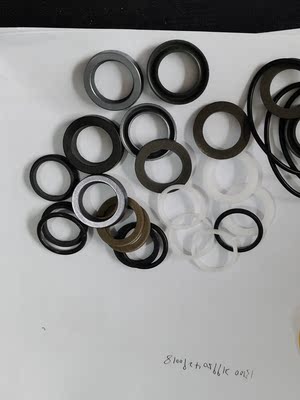 意大利高压泵组CKC2136S泵水封