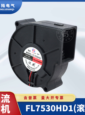 厂家直销离心鼓风机FL7530HD1 DC12V滚珠直流排气散热扇大风量