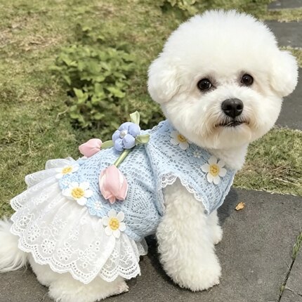 宠物连衣裙夏薄款透气约克夏泰迪博美比熊犬狗狗衣服公主风可牵引