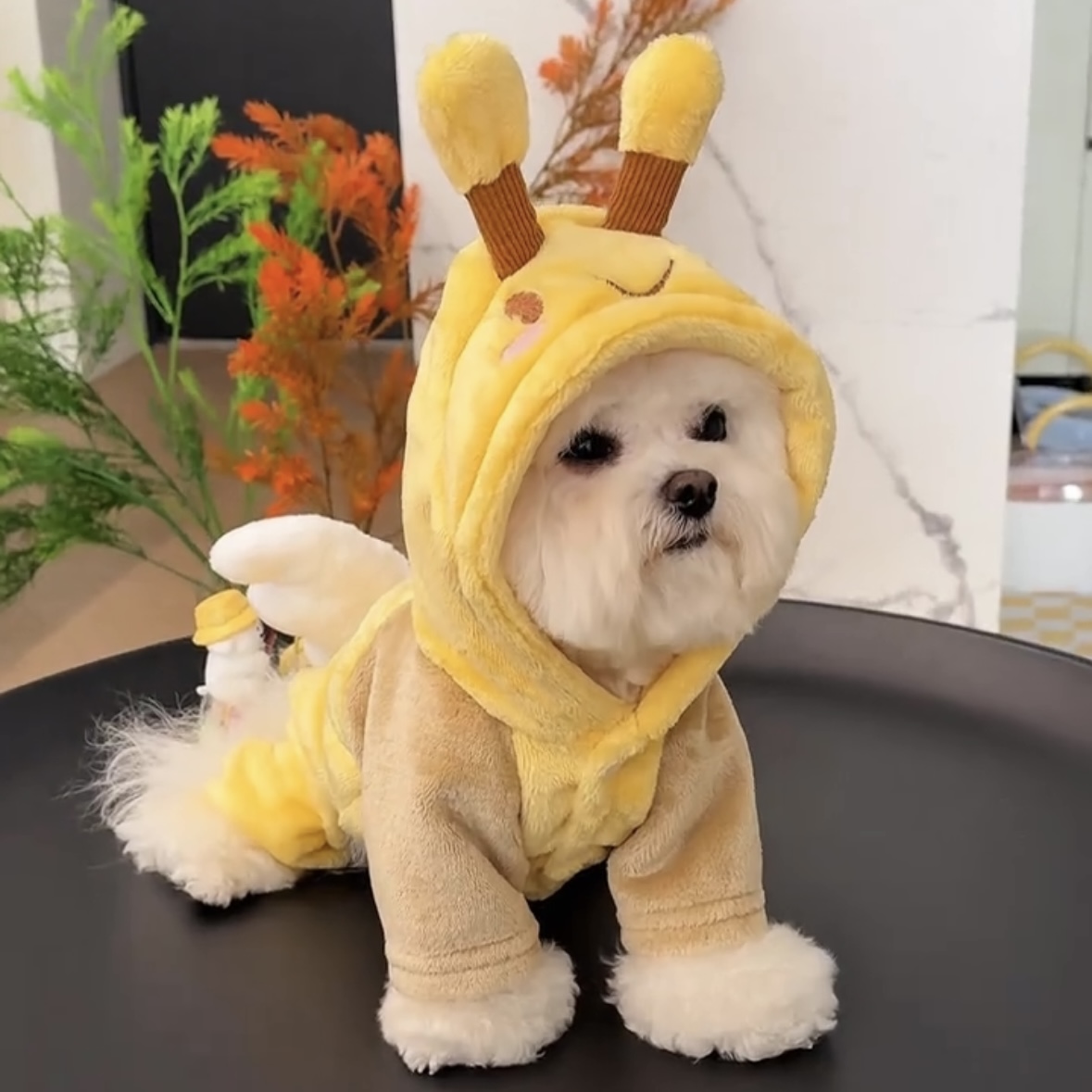 宠物四脚衣可爱变身装可牵引小型犬泰迪博美比熊贵宾狗狗衣服冬装