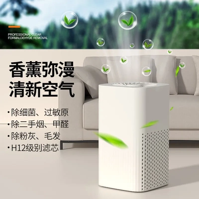 香薰净化器新款家用过滤器USB除烟味除甲醛分解净化机空气净化器