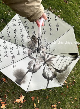 chic新中式复古风水墨蝴蝶雨伞女生高颜值ins小众磨砂透明长柄伞