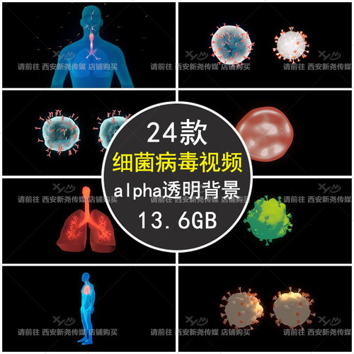 病毒细菌红细胞肺呼吸后期合成特效带alpha通道透明背景视频素材