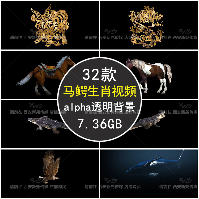 鳄鱼马蜻蜓飞鸟鲸鱼老鹰十二生肖带alpha通道有透明背景视频素材