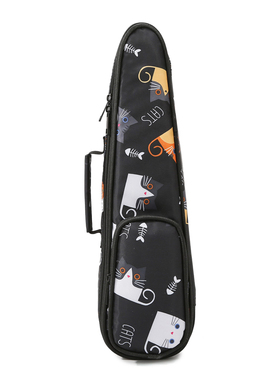 葫芦丝包单只降BC调葫芦丝背包保护套葫芦丝专用加厚收纳便携软包