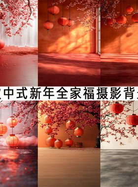 新款中式灯笼新年全家福喜庆网红拍照背景布照相馆室内自拍写真布