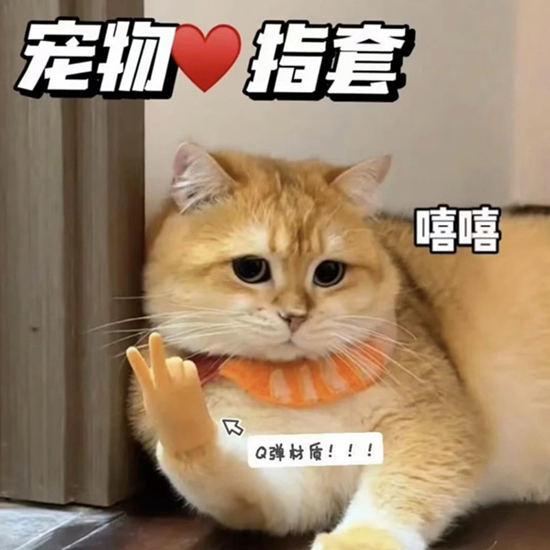 抖音同款猫手套比耶整蛊搞怪搞笑猫爪子套英短小手套弹力逗猫玩具 宠物/宠物食品及用品 宠物指甲套 原图主图