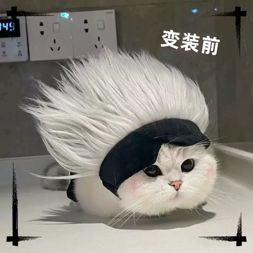 网红咒术回战五条悟cos猫咪假发眼罩宠物万圣节狗狗头套变装帽子