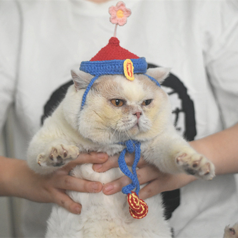 抖音同款猫咪僵尸帽子猫贴符英短万圣节搞笑搞怪狗狗可爱变装头套