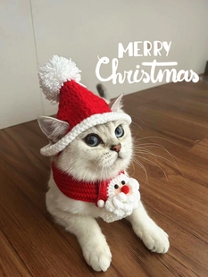 猫咪圣诞老人红色帽子白球头套针织围脖红色围巾小狗宠物节日衣服