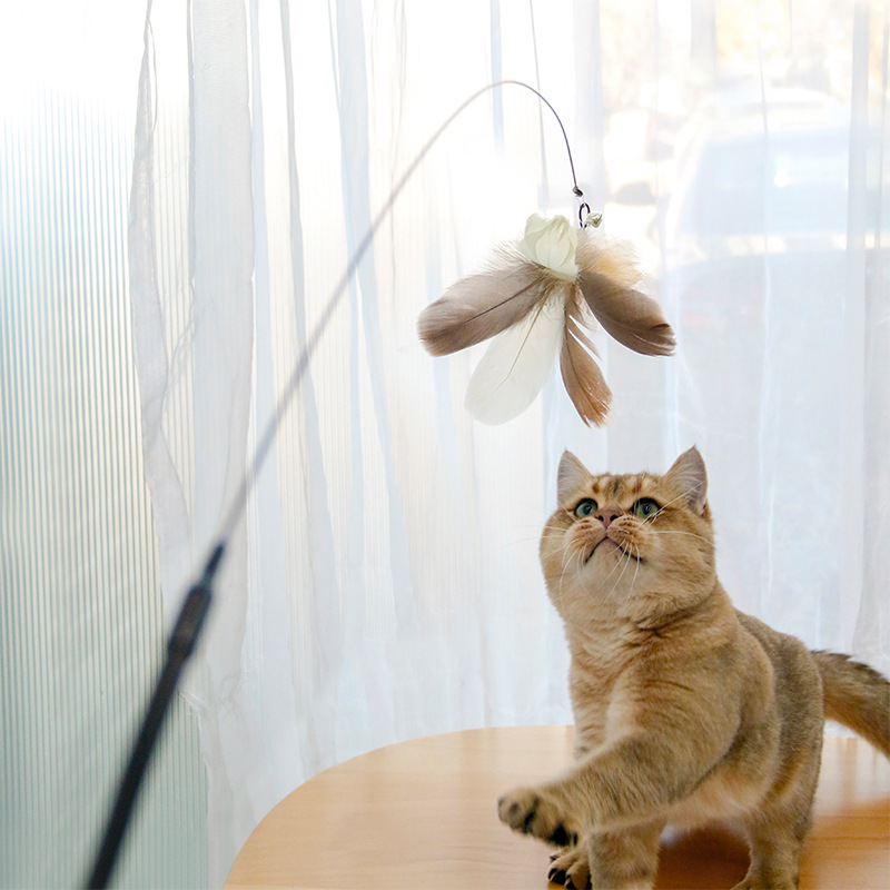 喵婉儿钢丝长杆逗猫棒羽毛替换头