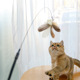 猫玩具逗猫棒长杆钢丝羽毛铃铛逗猫杆替换头互动自嗨耐咬猫咪玩具