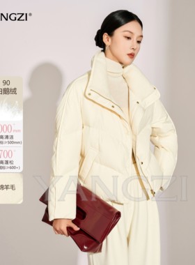 冬季新款短款厚款立领时尚百搭休闲90鹅绒服外套 XGD2412-241223