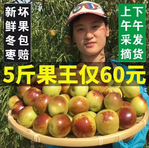 现货应季包邮沾化冬枣