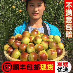 山东沾化冬枣新鲜大枣应当季水果鲜枣现摘青红枣5斤冰糖东枣包邮