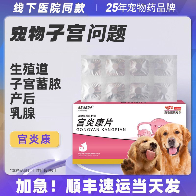 宫炎康片子宫蓄脓药猫咪狗狗