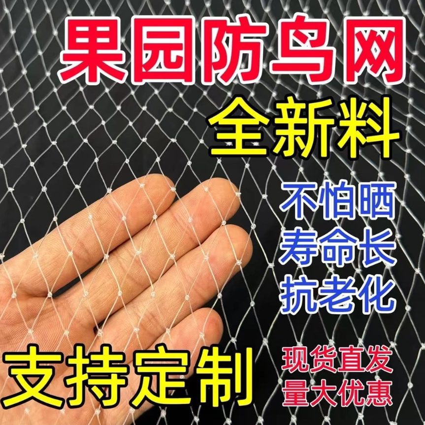 果园大棚草莓樱桃葡萄鱼塘