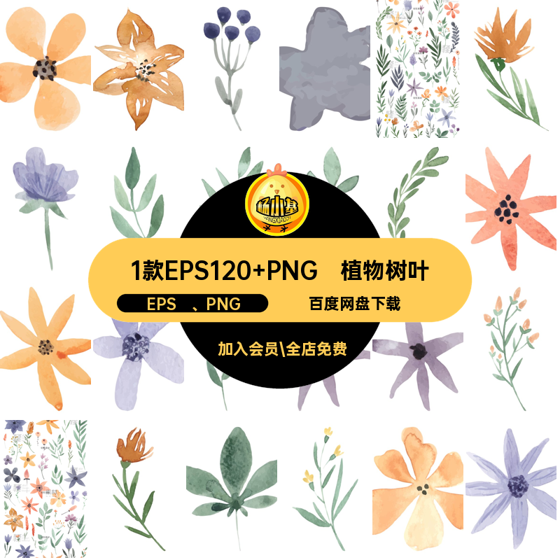 树枝图片EPS  PNG矢量水彩免手绘插画树叶抠花枝植物花卉花朵