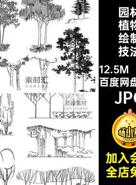 45个园林植物绘制技法法线手绘风景绘画A5JPG插图稿素材场