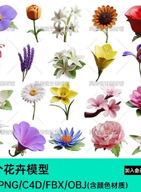 月季花桃花玫瑰花朵C4D花卉PNGOBJ卡通鲜花Blend模型FBX3D牵牛花