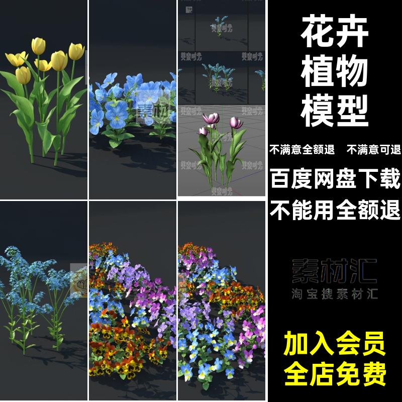 鲜花花卉模型模型素材的郁金香植物漂亮蝴蝶兰个合集C漂亮植物