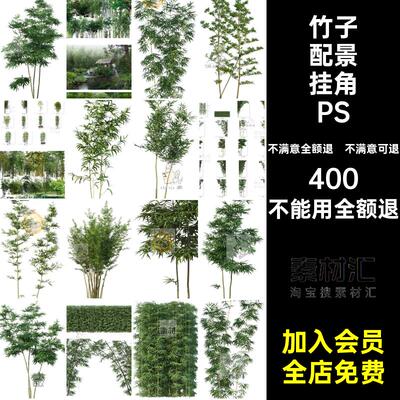 竹子竹林ps效果图新中式免配景盆栽庭院PNG挂角园林景观抠素材