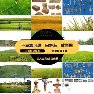 田野鸟瞰效果图景观稻田psd分层农田PS规划美丽乡村素材田园风光