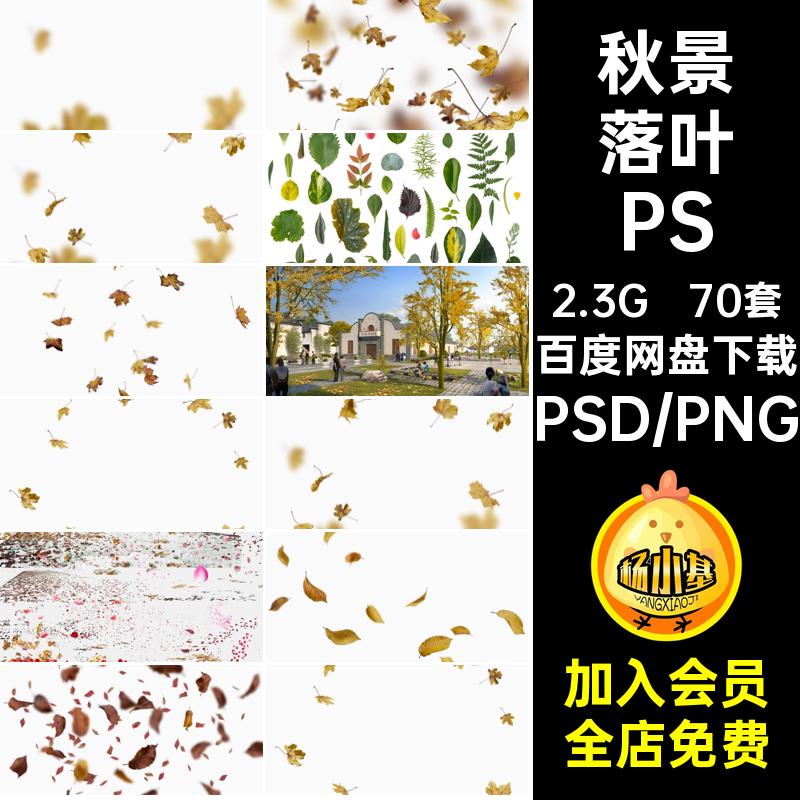 银杏落叶PSD秋天飘落素材景观psd后期枫树秋景扣效果图70套免公园