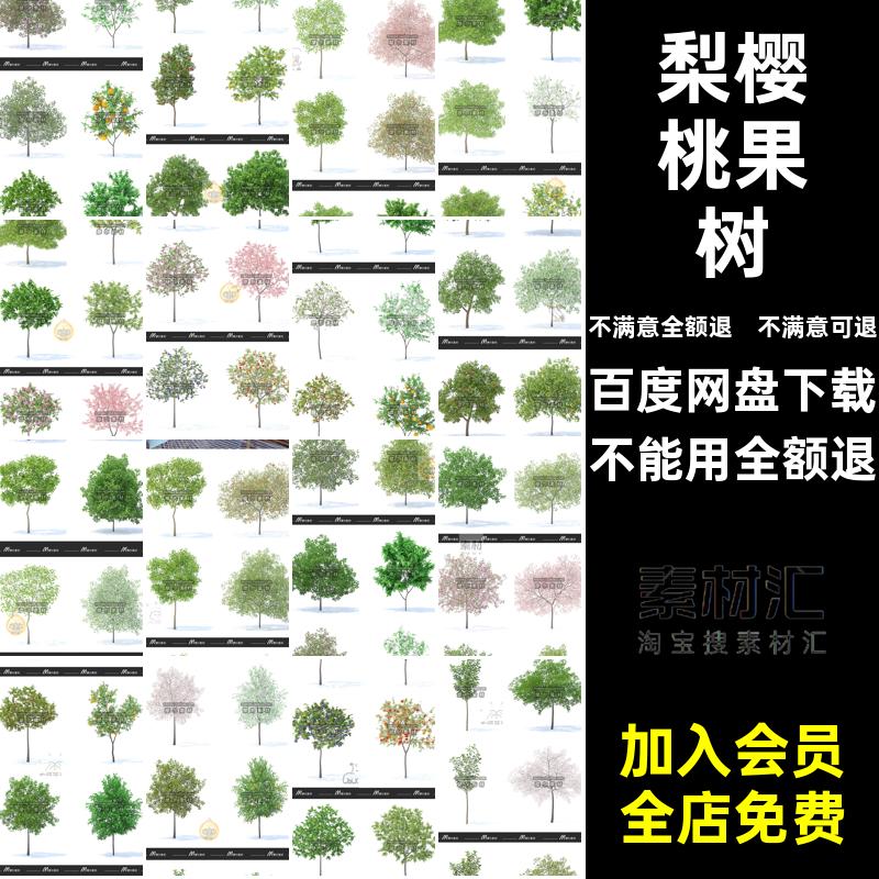 橙子果树素材模型Cmaxfbxobj梨款柠檬樱桃桃子格式MX树梨柠檬果树