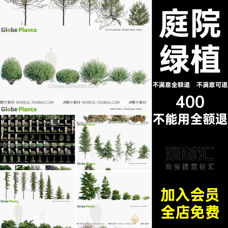 庭院绿植素材max模型Alaskan阿拉斯加Plants渲染格式CR花草树木