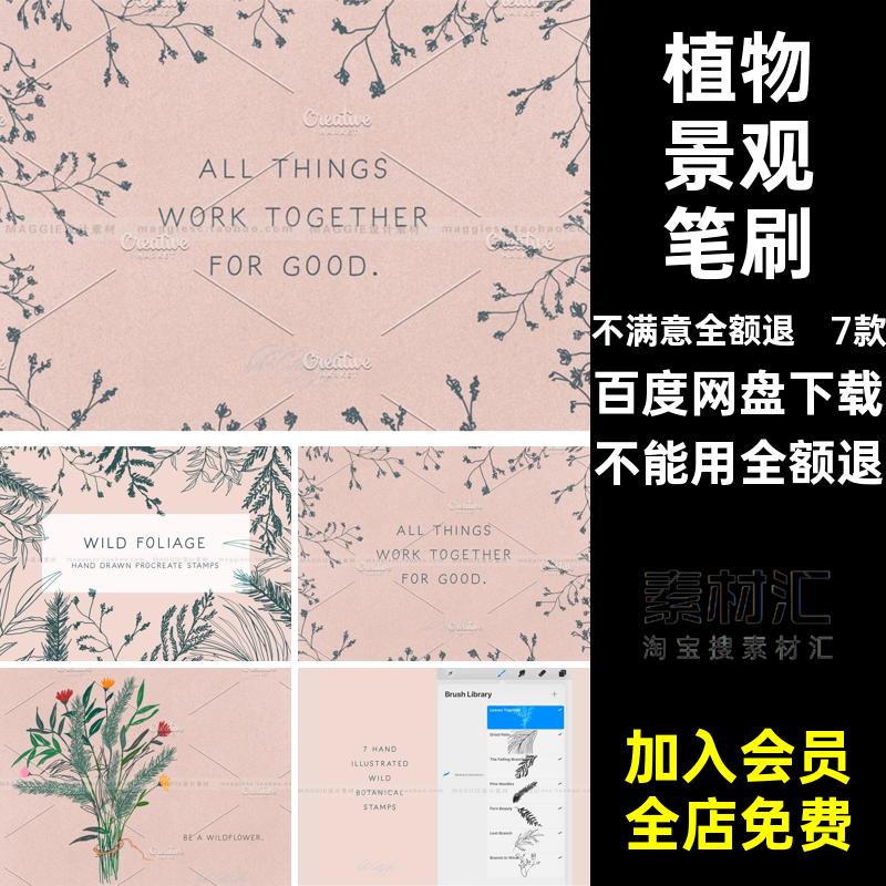 野生植物景观手绘Procreate笔刷树叶松针蕨类棕榈花卉花束插画笔