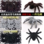 Lễ hội ma Halloween Trang trí mô phỏng Vành đai kinh dị Burr Flocking Spider Bar Quay phim Đạo cụ Spider - Sản phẩm Đảng / Magic / Hiệu suất đồ hóa trang cho nam