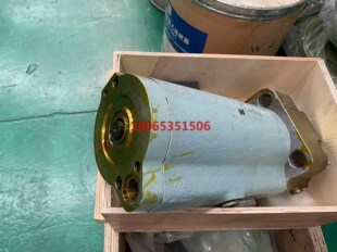 船舶配件原厂的促动泵含大小各一目前只有2个.需要再核对