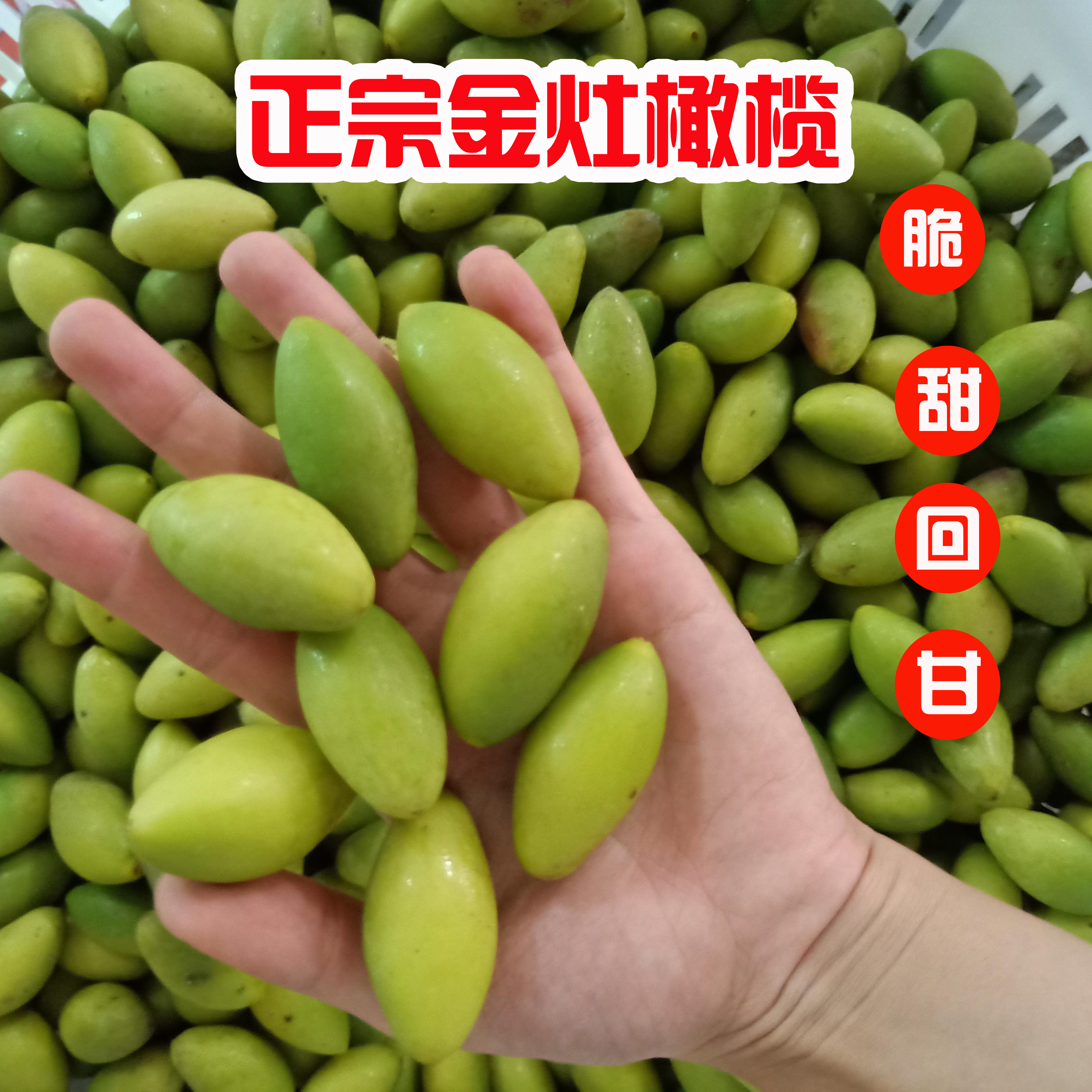 正宗汕头金灶青橄榄 甜橄榄广东潮汕特产脆甜回甘1斤装生吃一级果